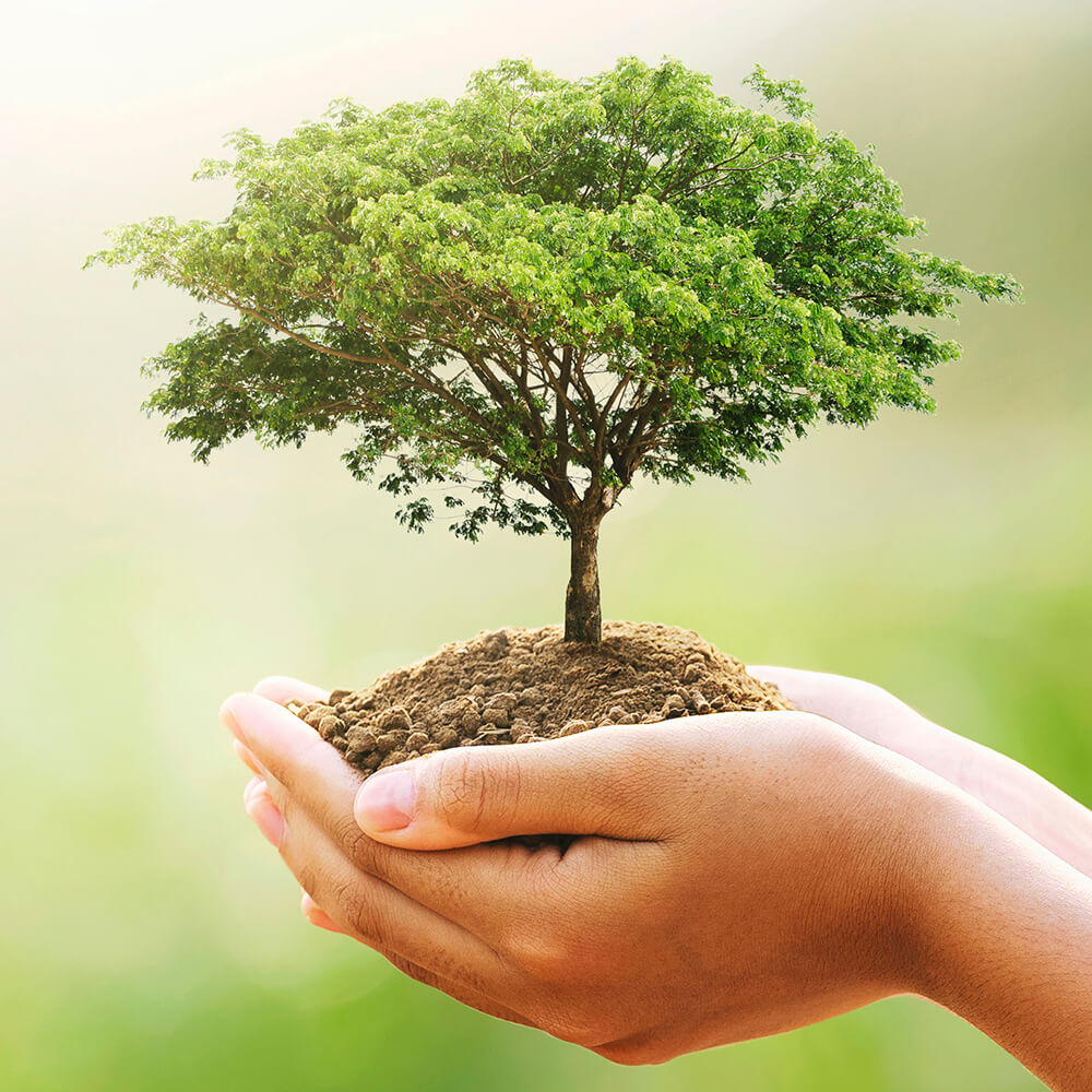 Miért fontosak a gyermekkorban minket ért hatások