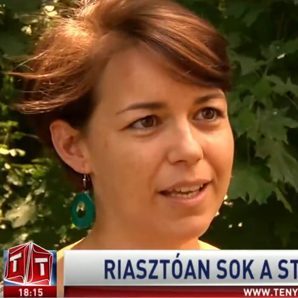 Riasztóan sok a stresszes gyerek, TV2 Tények