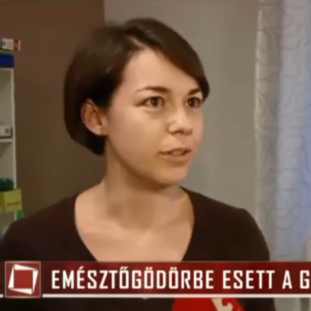 Szörnyű körülmények között élt 5 gyerek – TV2 Tények