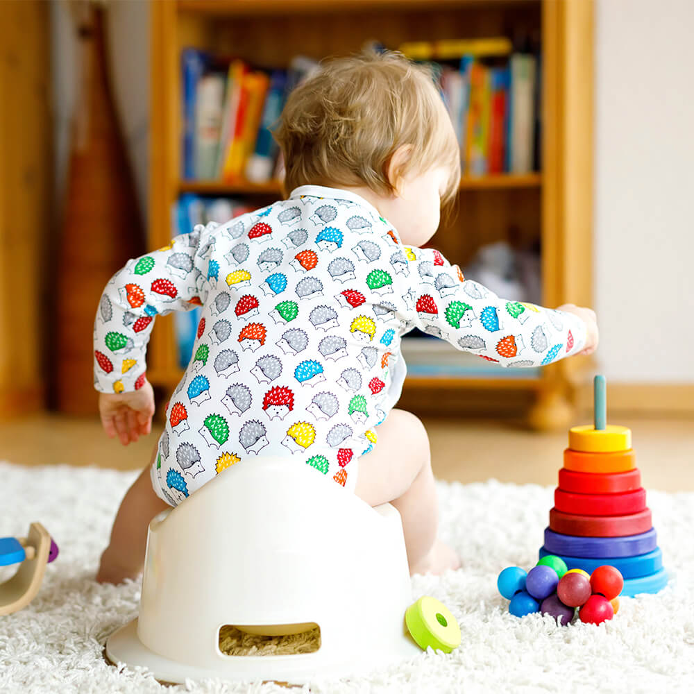 Hogyan szoktassuk szobatisztaságra gyermekünket